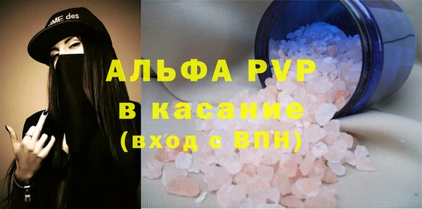 молекула духа Козловка