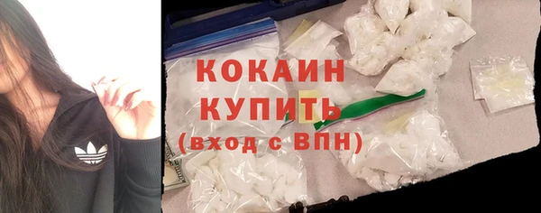 молекула духа Козловка