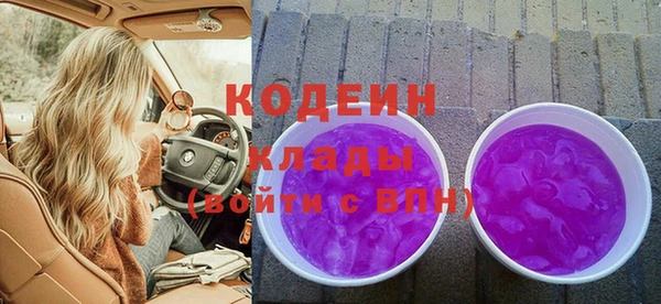 молекула духа Козловка