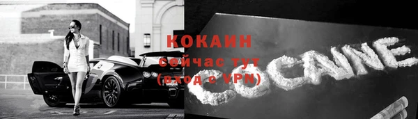 молекула духа Козловка