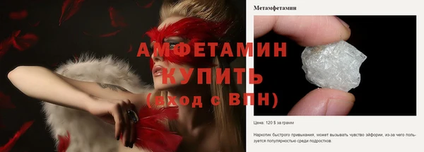 молекула духа Козловка