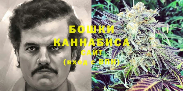 молекула духа Козловка